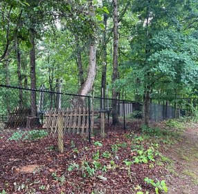 Black chainlink fence
